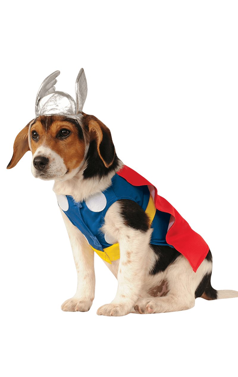 Thor Dog Costume