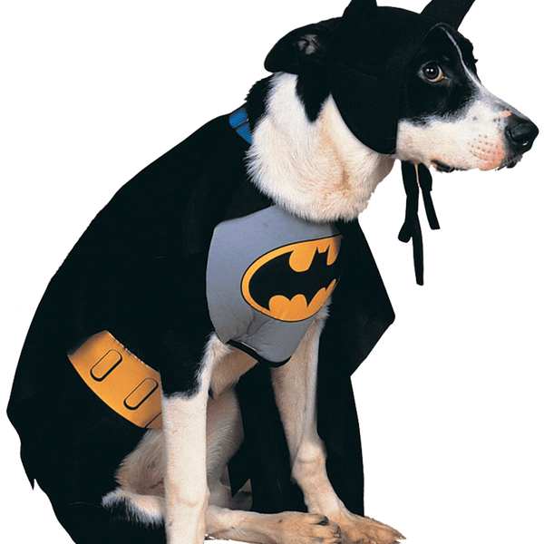 Batman Dog Costume