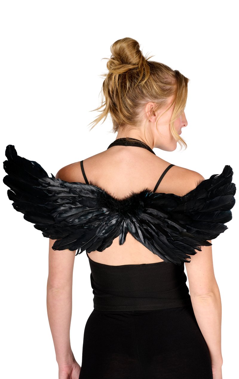 Black Feather Wings Accessory 55cm x 55cm - Joke.co.uk