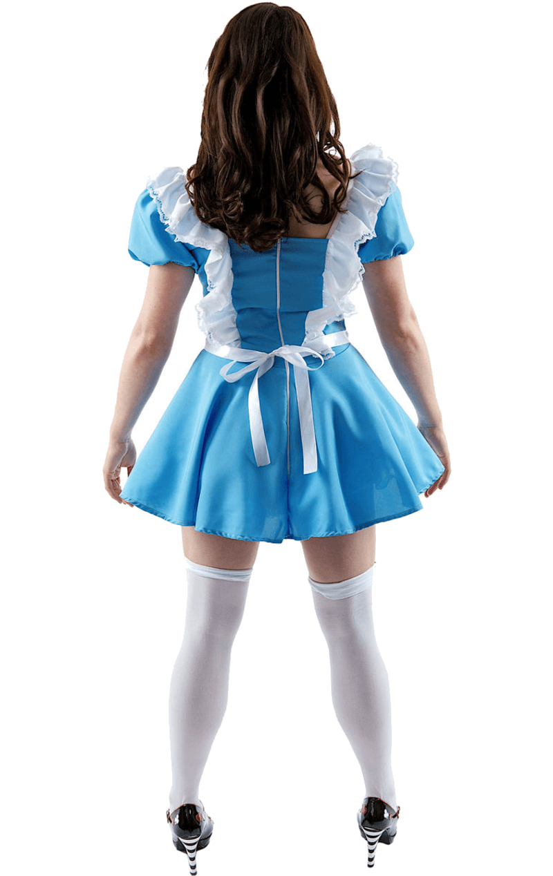 Womens Traditional Alice in Wonderland Costume